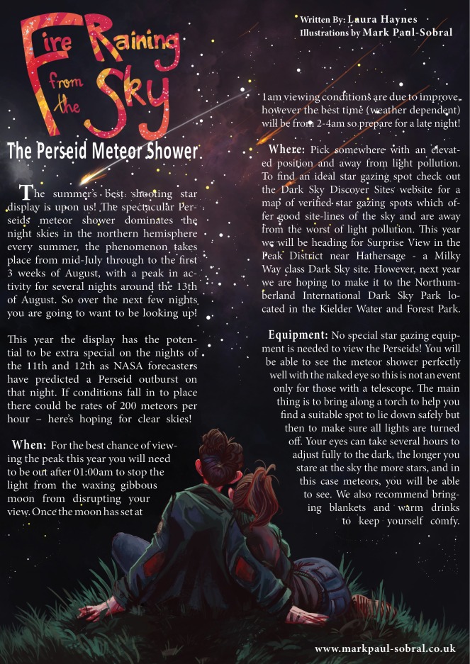 Perseids article